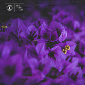 骑女马四肢着地爬行
