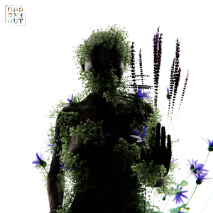 骑女马四肢着地爬行
