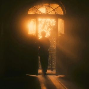 骑女马四肢着地爬行
