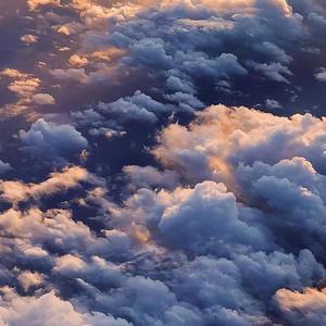 骑女马四肢着地爬行
