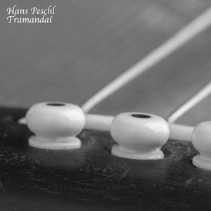 骑女马四肢着地爬行
