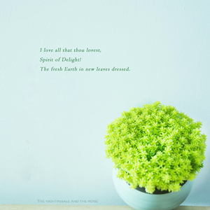 骑女马四肢着地爬行
